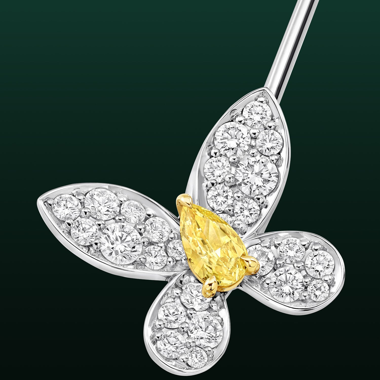 フレイヤ, Butterfly Brooch - Graff